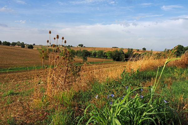 …ça sent déjà l’automne