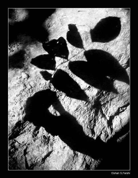 A Shadow On Stone