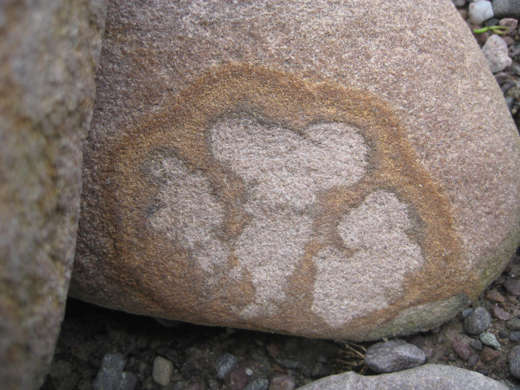  A Shamrock in a stone  