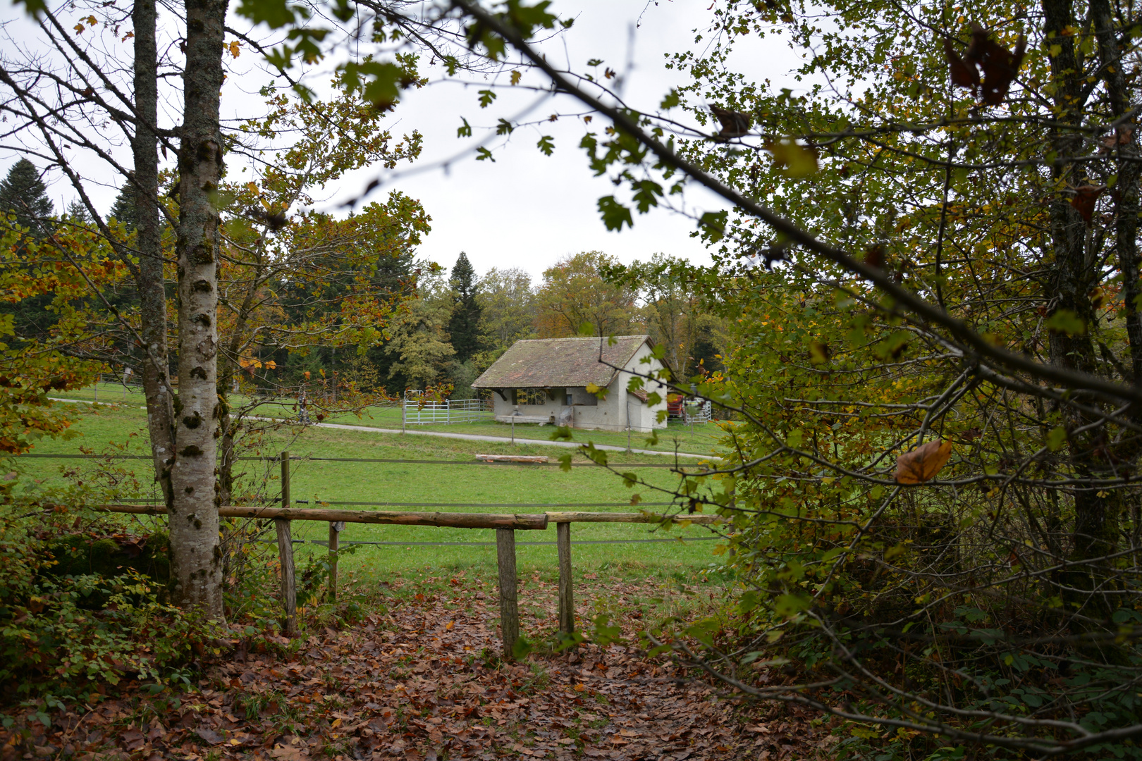  A shed somewhere in Nature...