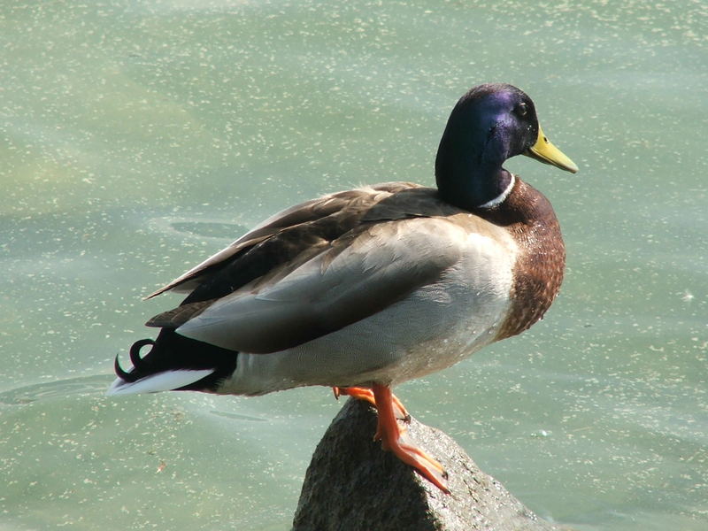 A short break, Zurich, Switzerland, 2007