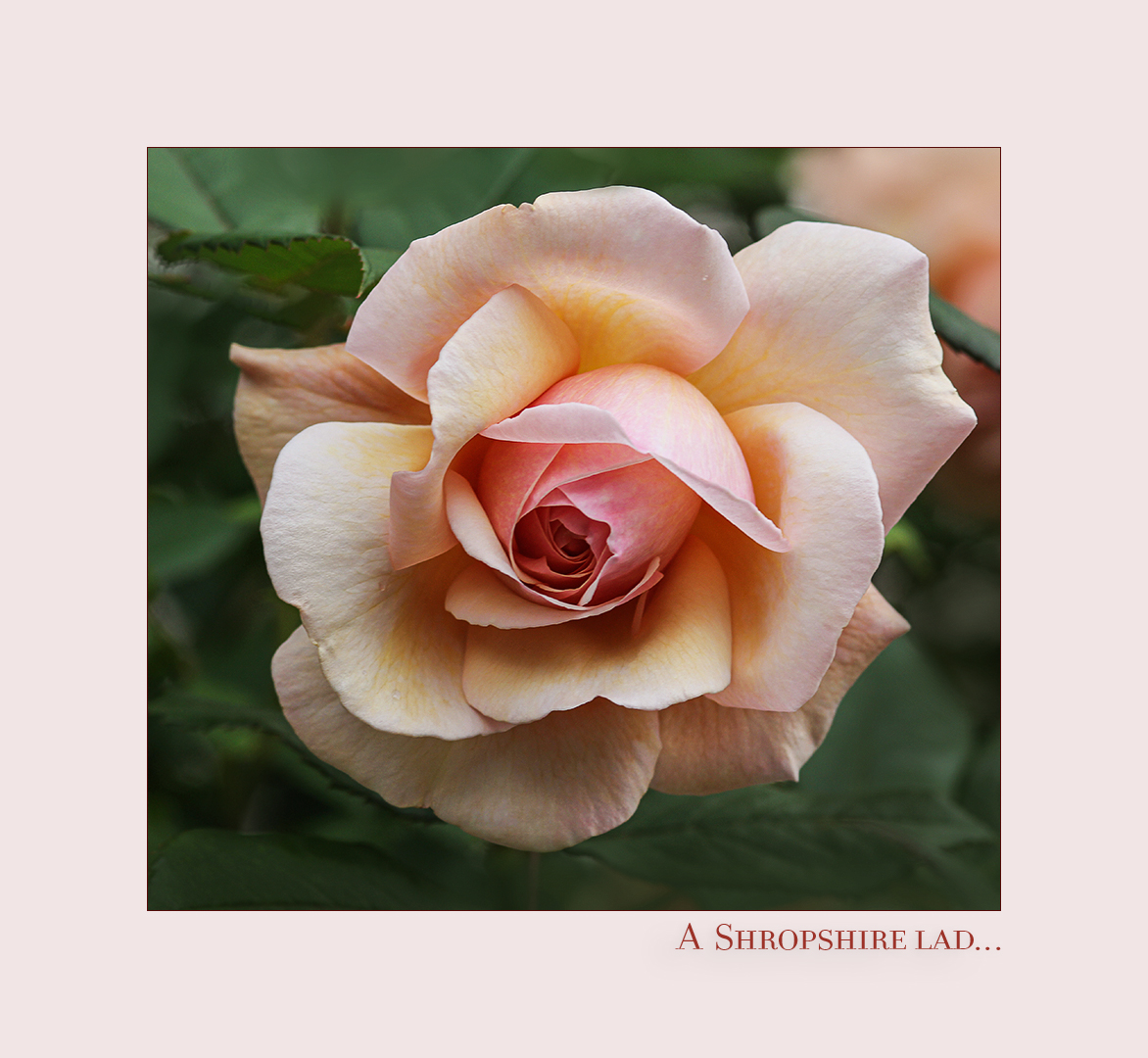 A shropshire lad....