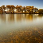 A Silent Autumn Day