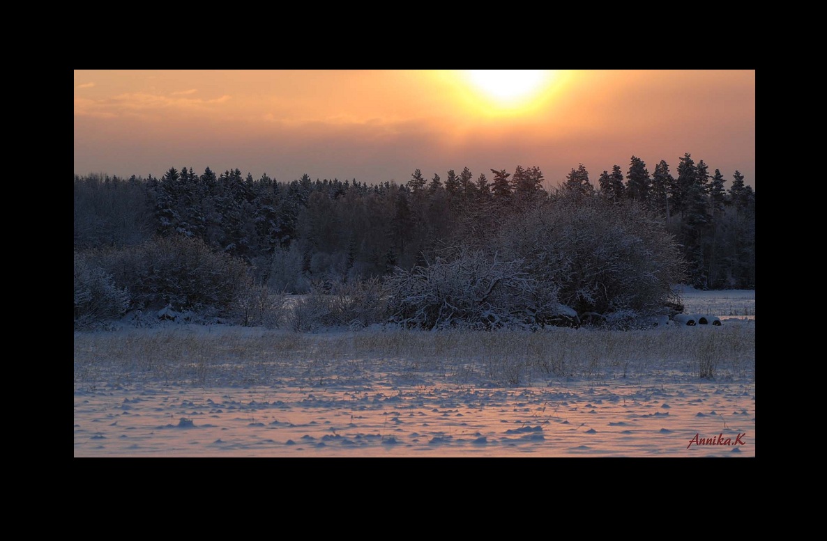 A silent moment in winter morning