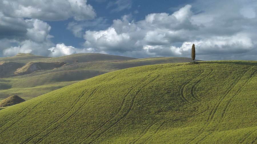 A simple hill in Tuscany