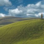 A simple hill in Tuscany