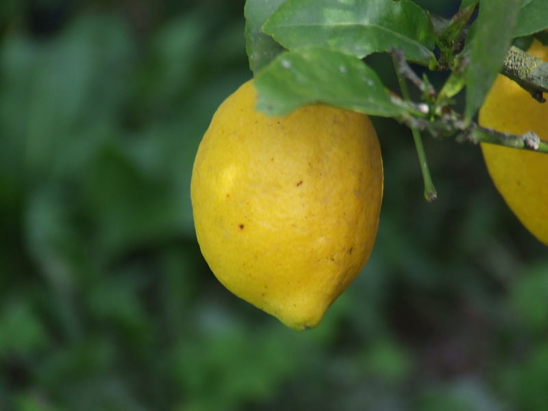 A simple lemon