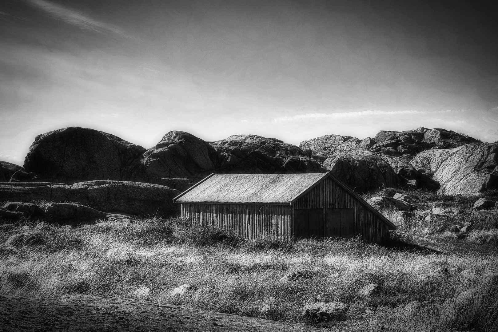 A Simple Shelter by Tony