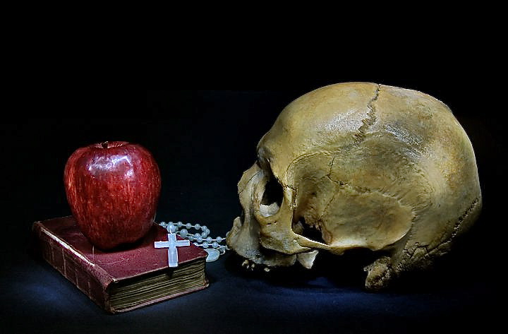 A skull and an apple