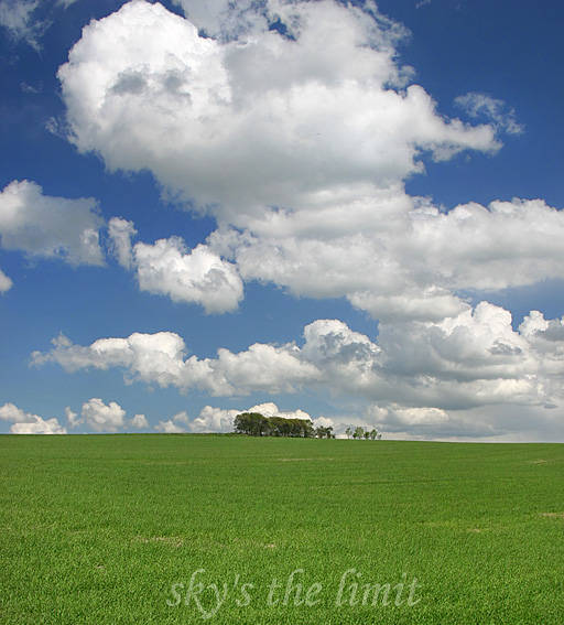 A sky ... filled with clouds ...