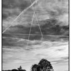 A Sky-Lines