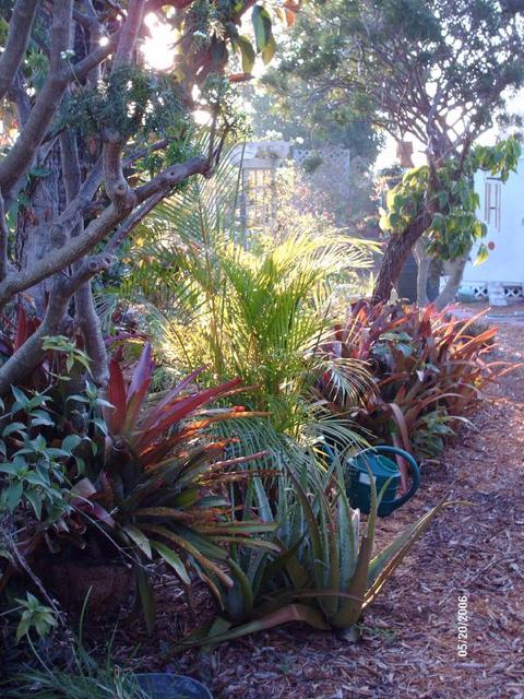 A small section of our private garden