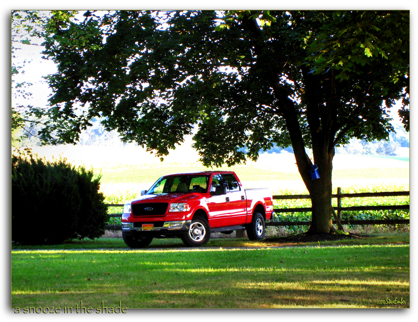 a snooze in the shade