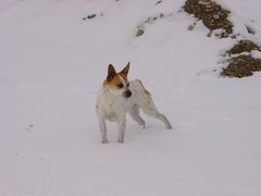 a Snowy day