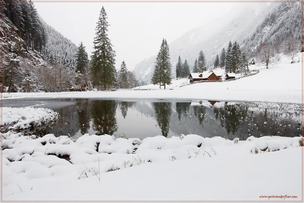 A snowy landscape