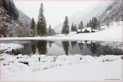 A snowy landscape