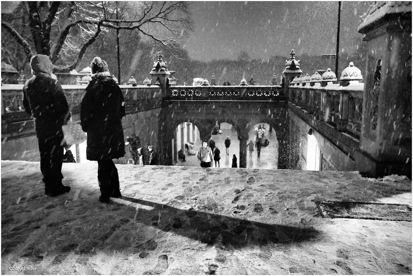 A Snowy Night in Central Park