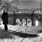 A Snowy Night in Central Park