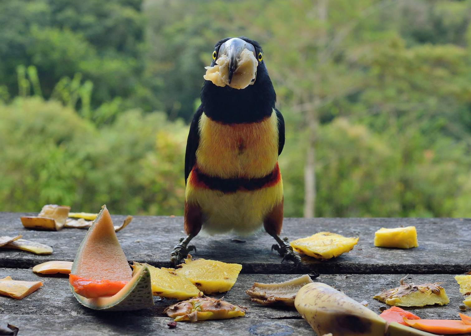 A soldier somewhere in Costa Rica