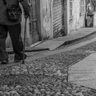 A spasso con l'amico fedele