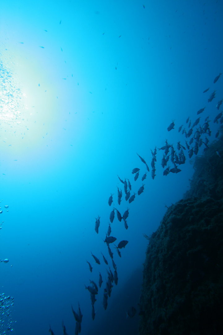 a spasso nel blu