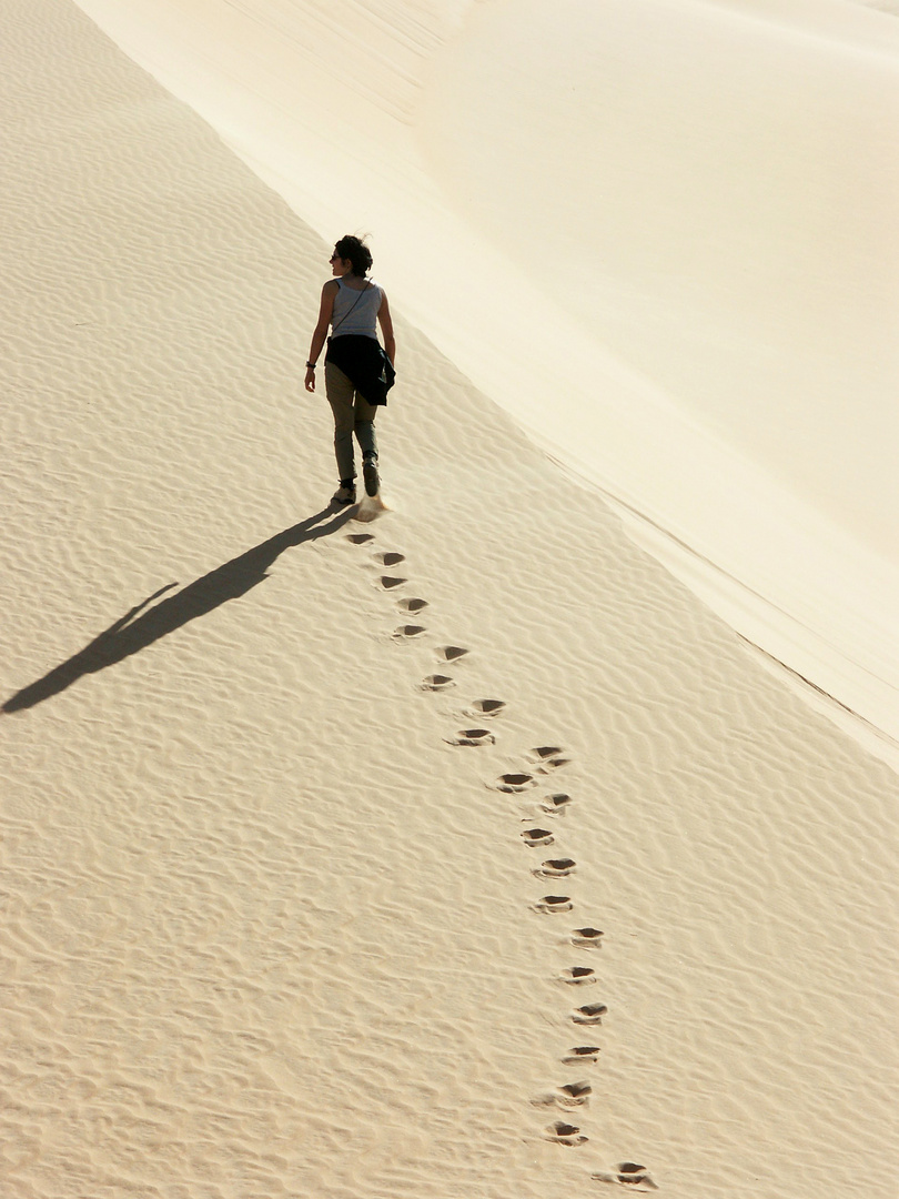 A spasso nel deserto