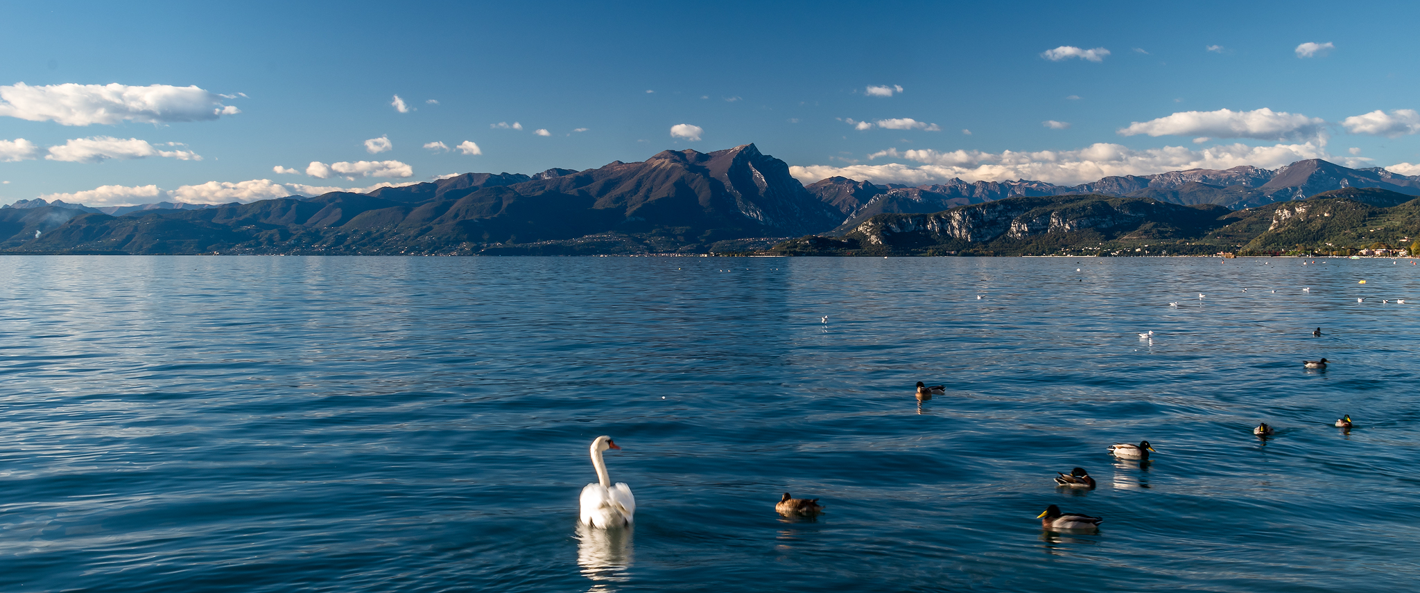 A spasso nel Lago