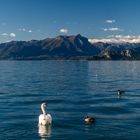 A spasso nel Lago