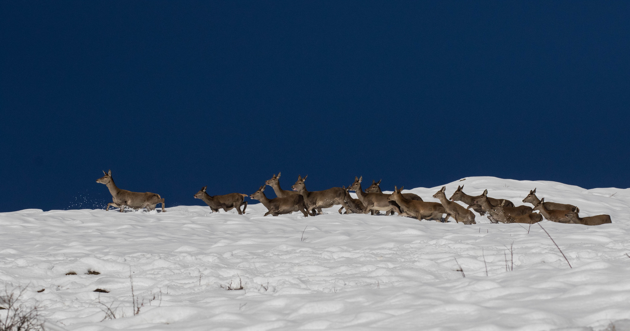 A spasso nel Parco