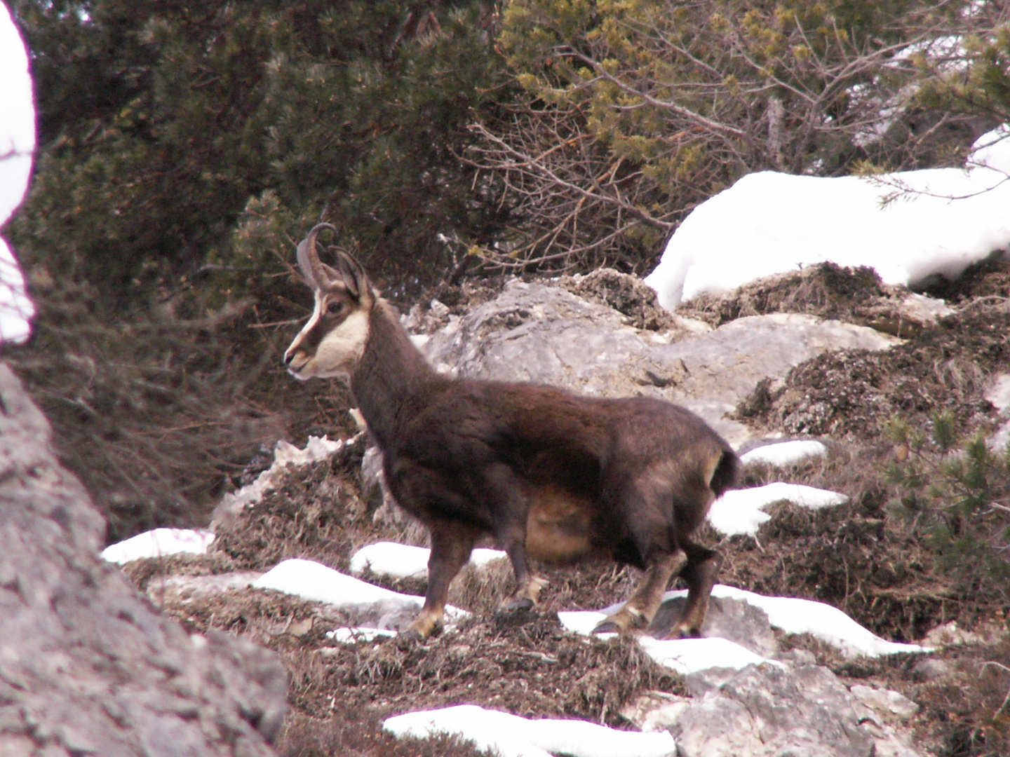 A spasso nelle Alpi Giulie