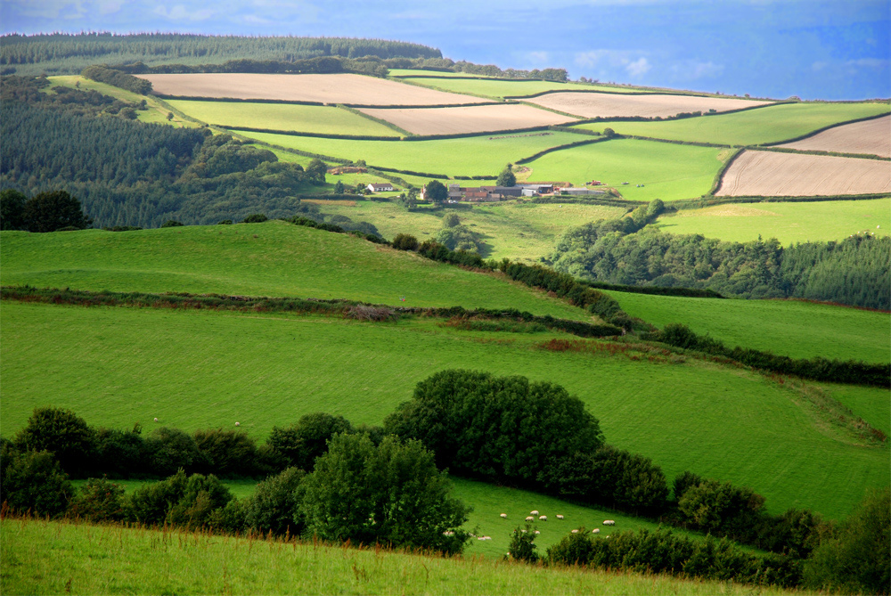 A special view to Exmoor
