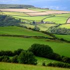 A special view to Exmoor