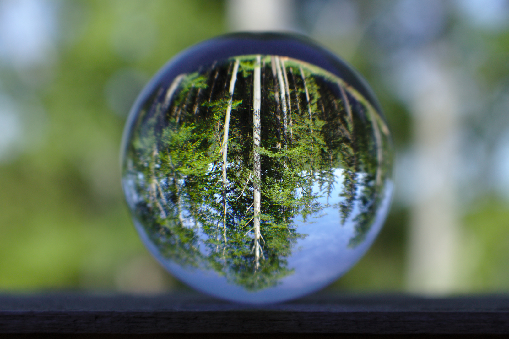 A Sphere in the Woods