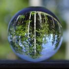 A Sphere in the Woods