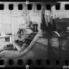 a sprocket rocket shot