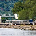 A Spuyten Duyvil Summer Day Train-Scape