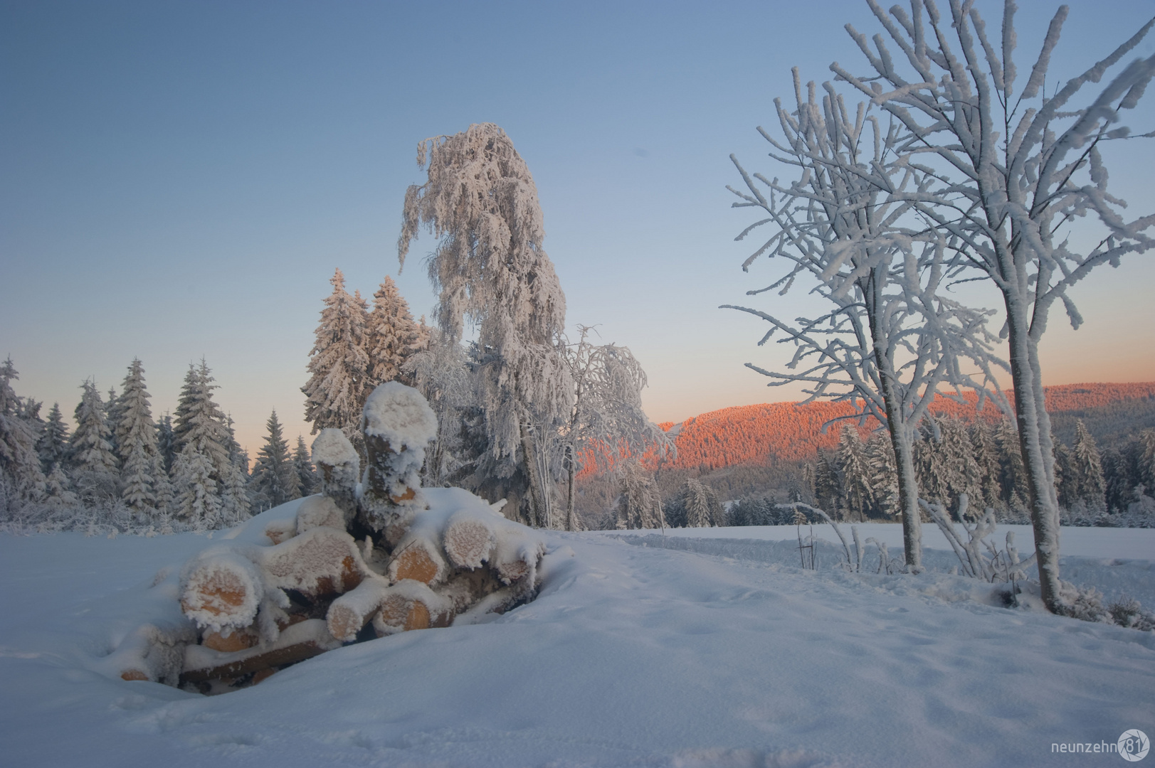 A Ster Holz im Wintermantel