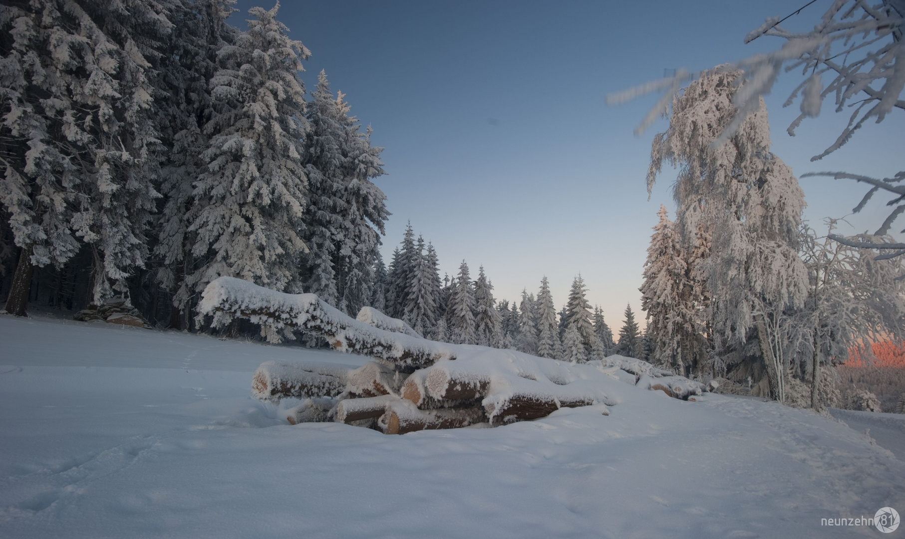 A Ster Holz im Wintermantel II