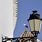 A stork and a Lamp