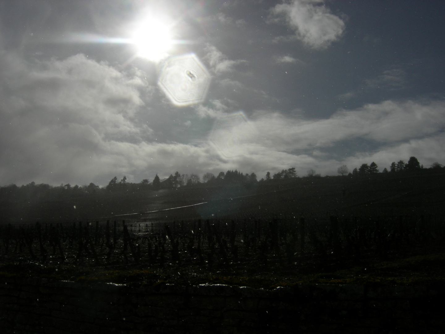 a storm passing though the vineyards