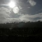 a storm passing though the vineyards