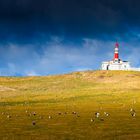 A storm's light house