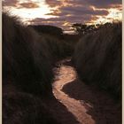 a stream through the dunes at embleton at dusk