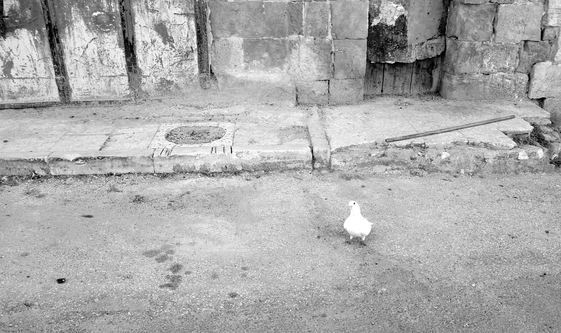 A street foced to be abandoned