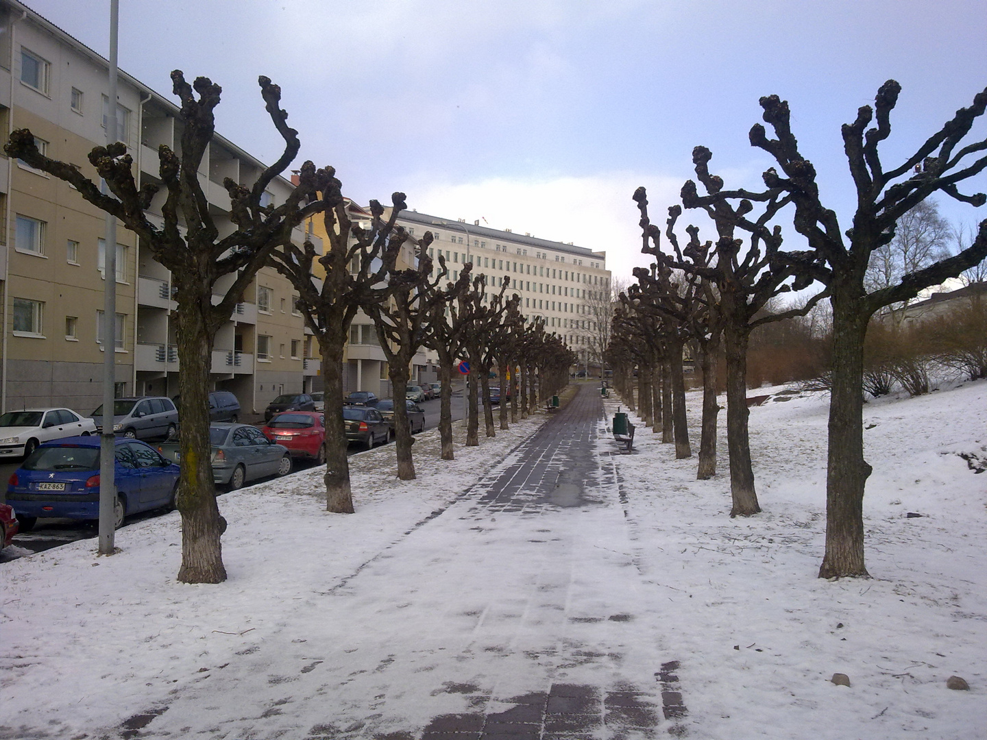 A street in winter