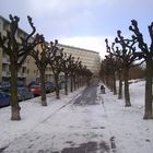 A street in winter