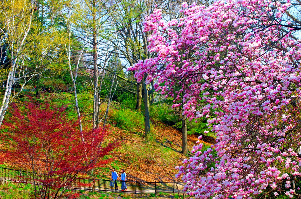 A stroll in the park