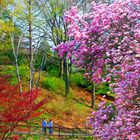 A stroll in the park