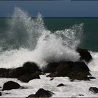 a su manera, el mar tambien habla.