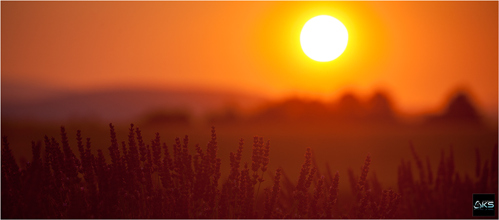 A summer in Provence